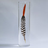 Lady Amherst's Pheasant tail(L)