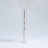 Copper Pheasant feather