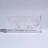 Rose Quartz