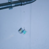 Prism Mobile