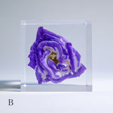 Eustoma