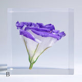 Eustoma