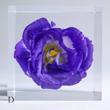 Eustoma