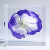 Eustoma