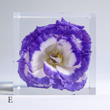 Eustoma