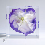 Eustoma