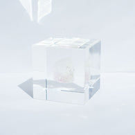 Fluorite (2.0in cube)3