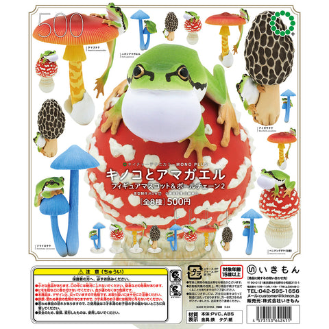 Mushrooms and Japanese tree frogs 2