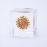 Basket flower