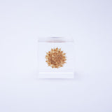 Basket flower