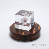 DENSHIRO Light Base Maru