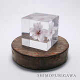 DENSHIRO Light Base Maru