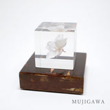 DENSHIRO Light Base kaku