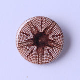 Astropyga radiata