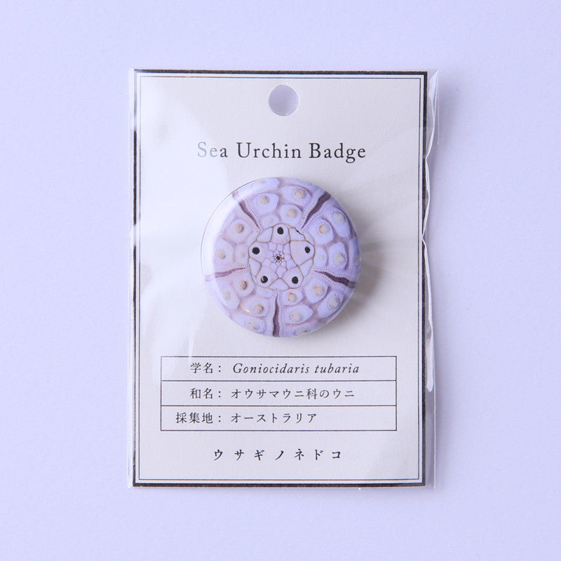 Goniocidaris tubaria – Usagi no Nedoko