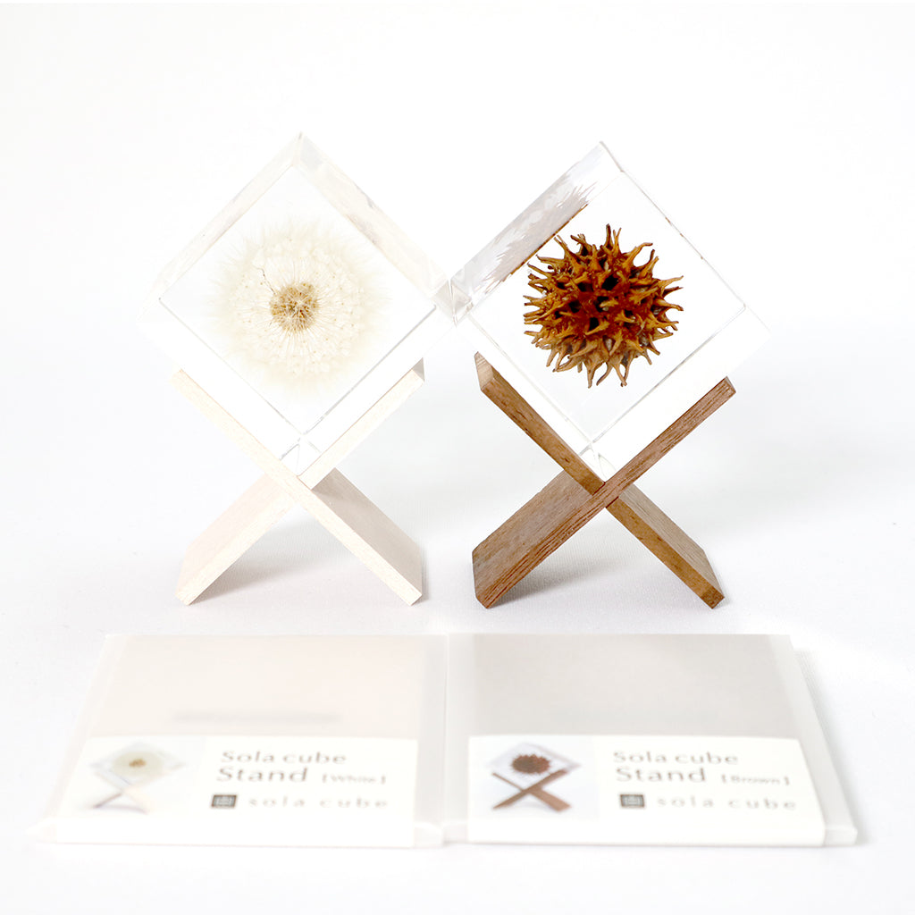 Sola Cube - Large Dandelion.