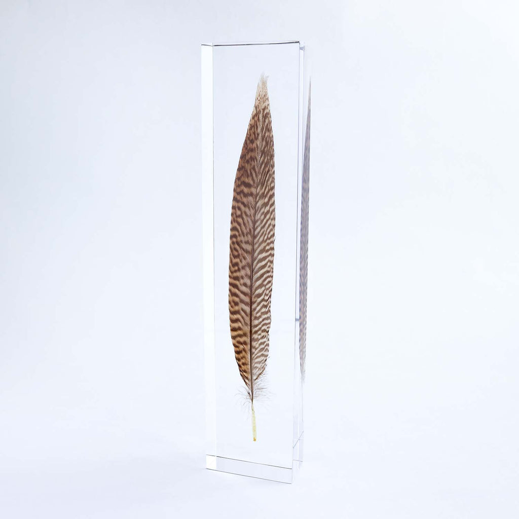 Gold Glitter Pheasant Feather