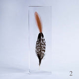 Lady Amherst's Pheasant feather