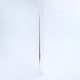 Golden Pheasant feather