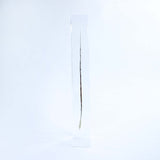 Pheasant feather