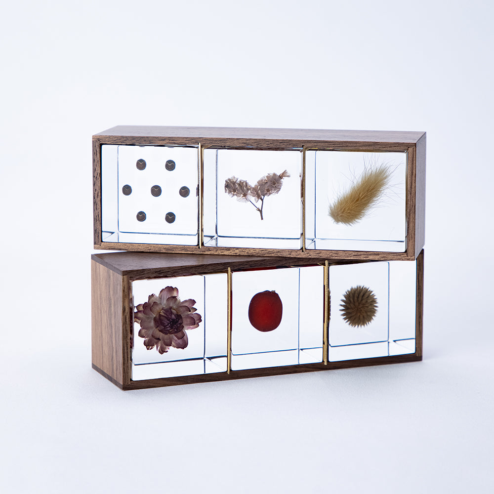Sola cube/3個セット -手のひらの上の「小宇宙」 - スタイルストア