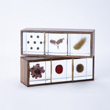 3 Sola cubes set with display case (your own choice)