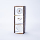 3 Sola cubes set with display case (your own choice)