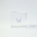 Celestite