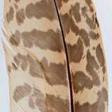 Common Kestrel feather