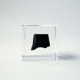 Obsidian