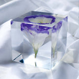 Eustoma