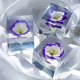 Eustoma
