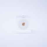 Dandelion (1.6in cube)
