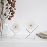 Dandelion (1.6in cube)