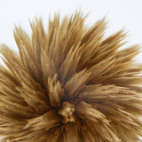 Globe thistle