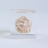 Desert rose (2.0in cube)