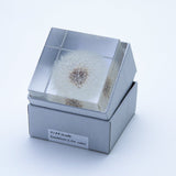 Dandelion (2.0in cube)