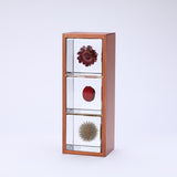 3 Sola cubes set with display case (B)