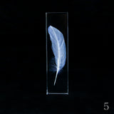 Duck feather