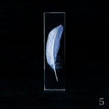 Duck feather