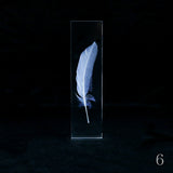 Duck feather