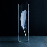 Duck feather