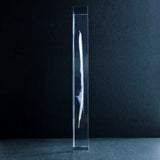 Duck feather