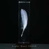 Duck feather