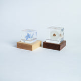 Light Base kaku