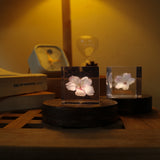 DENSHIRO Light Base kaku