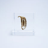 Tiger's claw