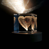 Chinese lantern plant(2.0in cube)