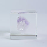 Amethyst (2.0in cube)
