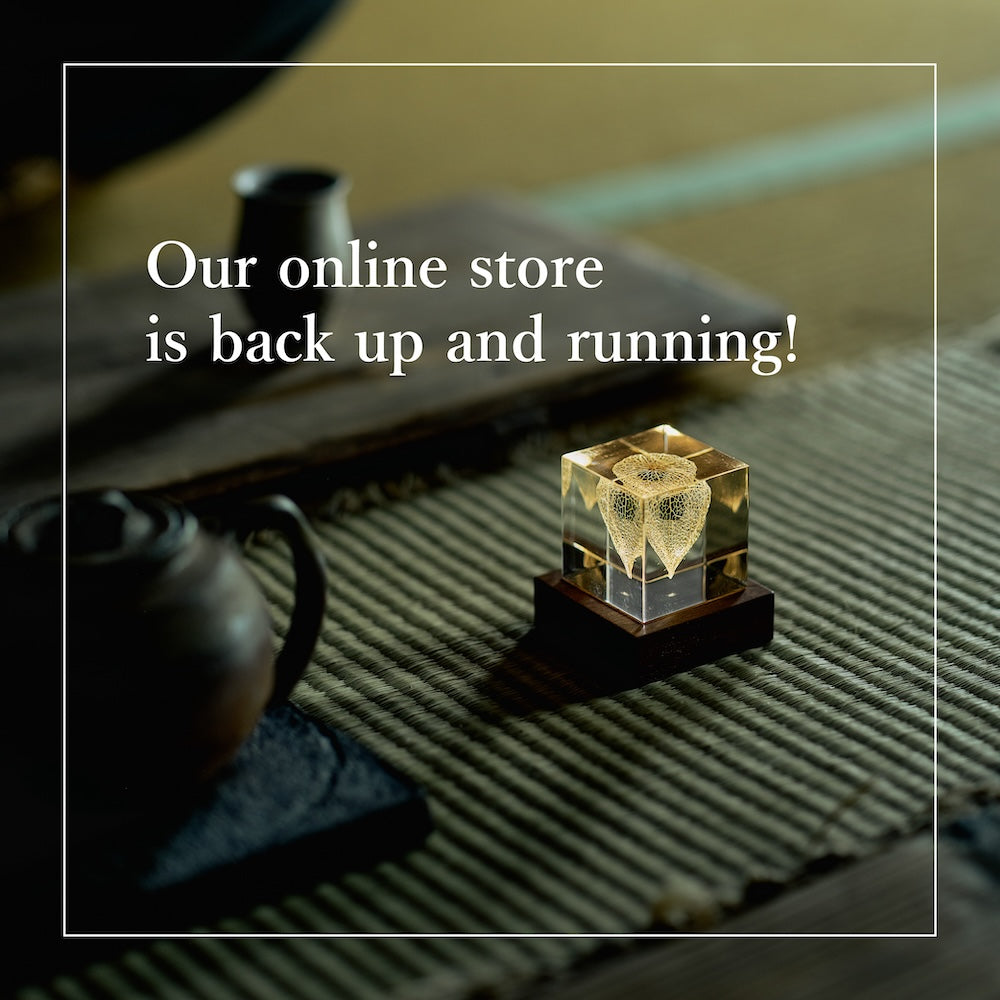 Our online store is back up and running!